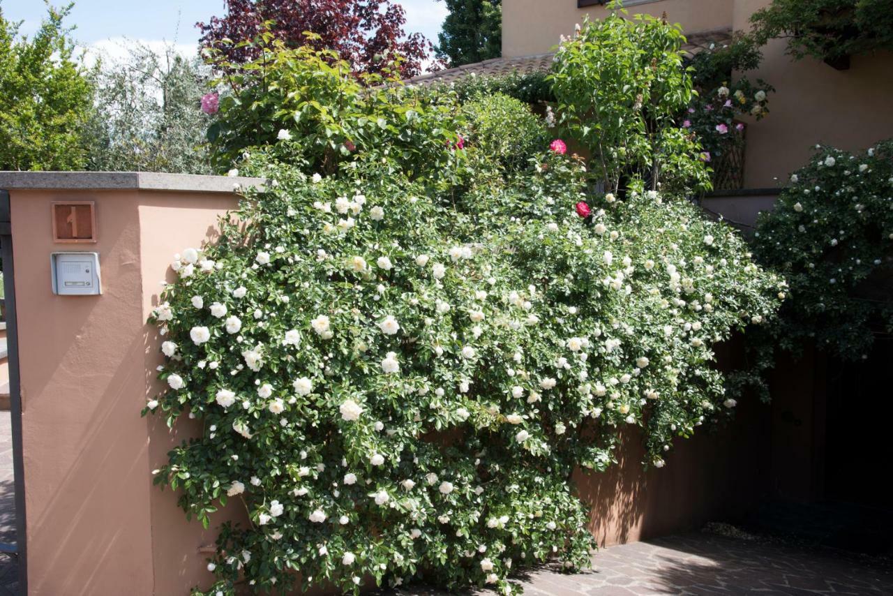 Casa Angolo Delle Rose Orvieto Eksteriør bilde