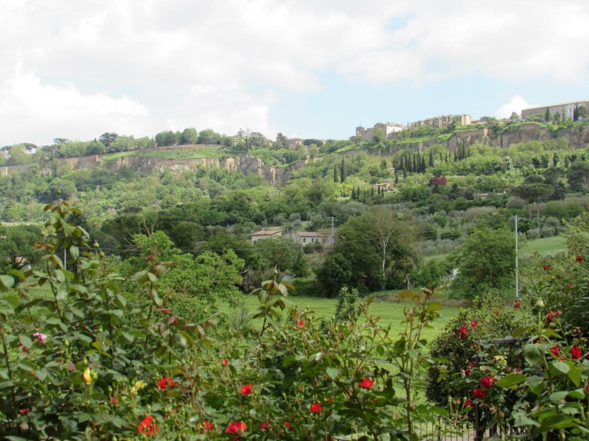 Casa Angolo Delle Rose Orvieto Eksteriør bilde